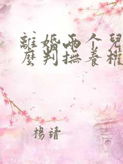 离婚两个儿子怎么判抚养权