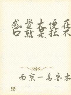 感觉大便在肛门口就是拉不出来怎么办