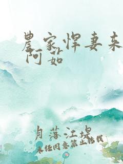 农家悍妻来种田 阿茹