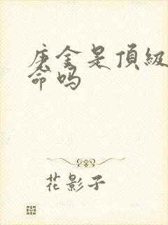 庚金是顶级富贵命吗