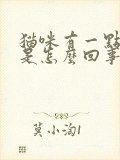 猫咪有一点尿血是怎么回事