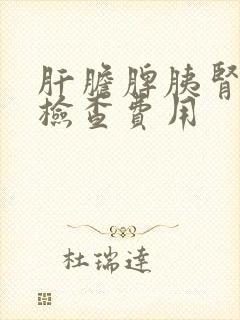 肝胆脾胰肾b超检查费用