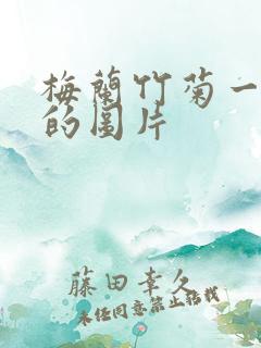 梅兰竹菊一幅图的图片