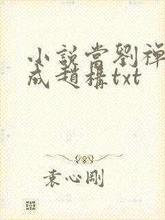 小说当刘禅穿越成赵构txt