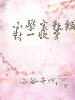 小学家教辅导一对一收费