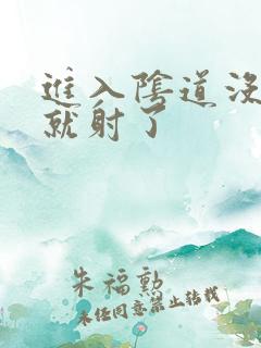 进入阴道没几下就射了