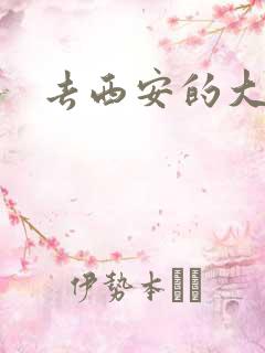 去西安的大巴车