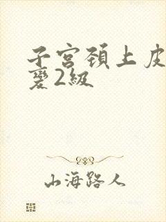 子宫颈上皮内病变2级