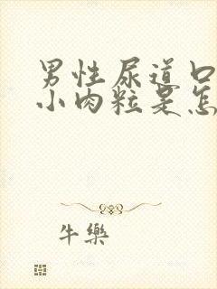 男性尿道口边有小肉粒是怎回事