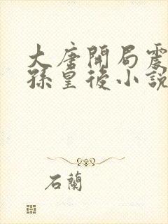 大唐开局震惊长孙皇后小说txt全文下载