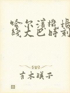 哈尔滨机场3号线大巴时刻表查询