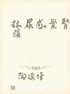 拉尿感觉肾有点痛