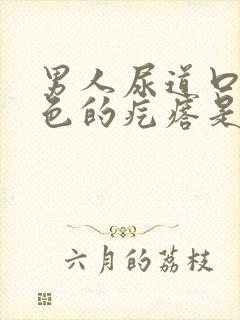 男人尿道口长白色的疙瘩是怎么回事