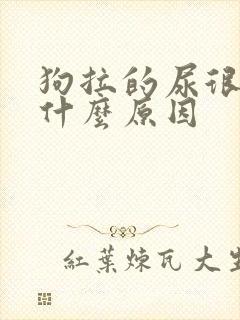 狗拉的尿很黄是什么原因