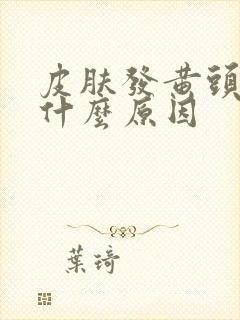 皮肤发黄头晕是什么原因