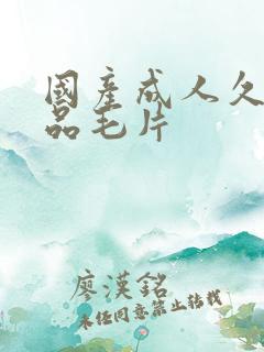 国产成人久久精品毛片