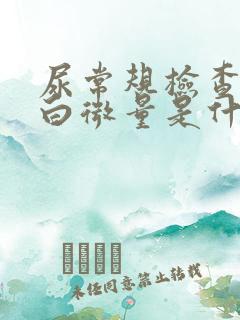 尿常规检查尿蛋白微量是什么意思