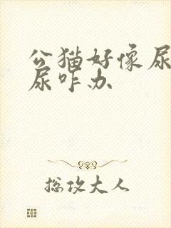 公猫好像尿不出尿咋办