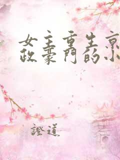 女主重生京城军政豪门的小说