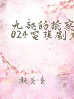 九部的检察官2024电视剧免费观看