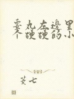 睾丸左边里面有个硬硬的小疙瘩疼