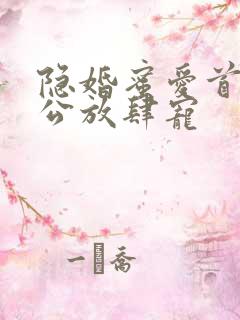 隐婚蜜爱首席老公放肆宠