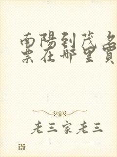 南阳到茂名汽车票在哪里买