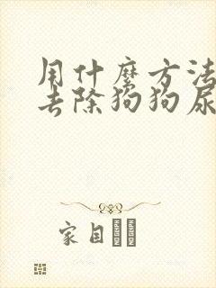 用什么方法可以去除狗狗尿味