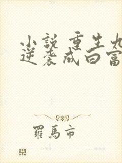 小说 重生九零逆袭成白富美