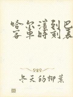 哈尔滨到巴彦县客车时刻表查询