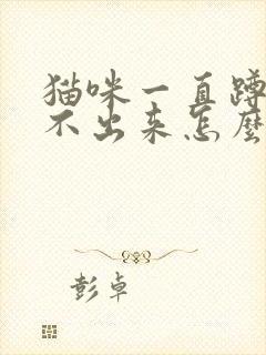 猫咪一直蹲着尿不出来怎么办