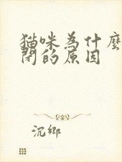 猫咪为什么会尿闭的原因