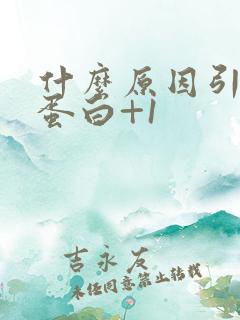 什么原因引起尿蛋白+1