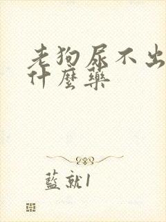 老狗尿不出来吃什么药