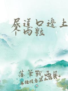 尿道口边上长了个肉粒