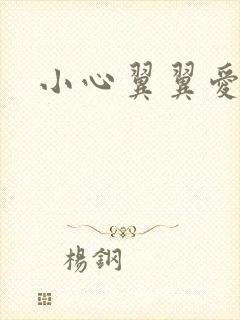 小心翼翼爱上你