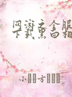 网游之全服公敌下载黑白相间