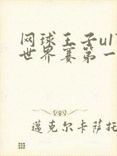 网球王子u17世界赛第一季