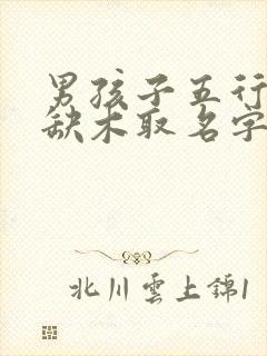 男孩子五行缺水缺木取名字