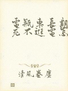 电瓶车长期不骑充不进电怎么办