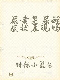 尿黄是尿酸高的症状表现吗