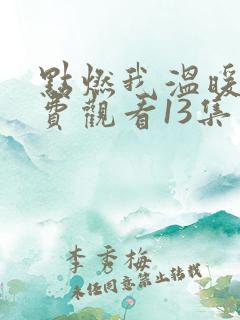 点燃我温暖你免费观看13集电视剧
