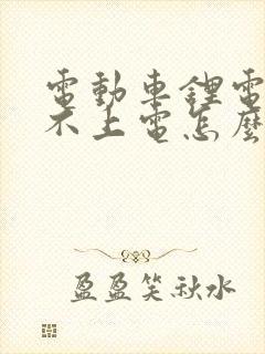 电动车锂电池充不上电怎么办