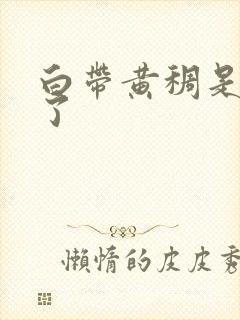 白带黄稠是怎么了