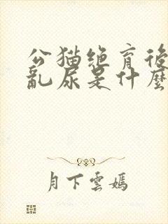 公猫绝育后还会乱尿是什么原因