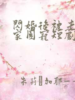 闪婚后被老公全家团宠短剧全集电视