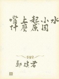 嘴上起小水泡是什么原因