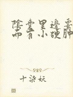 阴囊里边睾丸上面有小硬肿痛