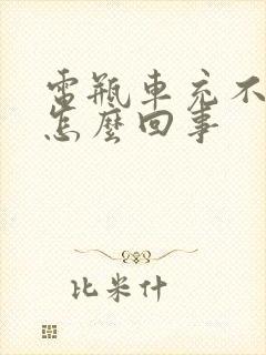 电瓶车充不进电怎么回事