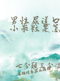 男性尿道口长肉小米粒是怎么回事